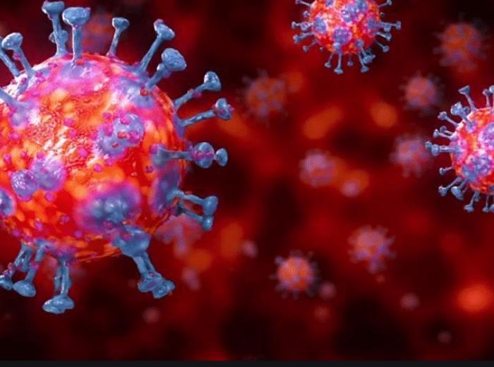 Oral Health During a Pandemic