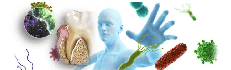 Bacteria and germs threatening human health, illustrating importance of oral hygiene.