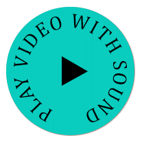 play video with sound